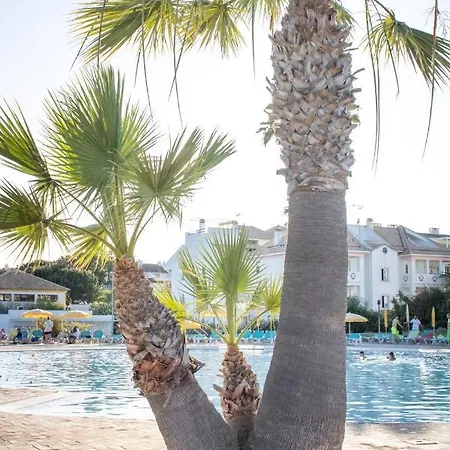 Happy - Sky No Golden Club